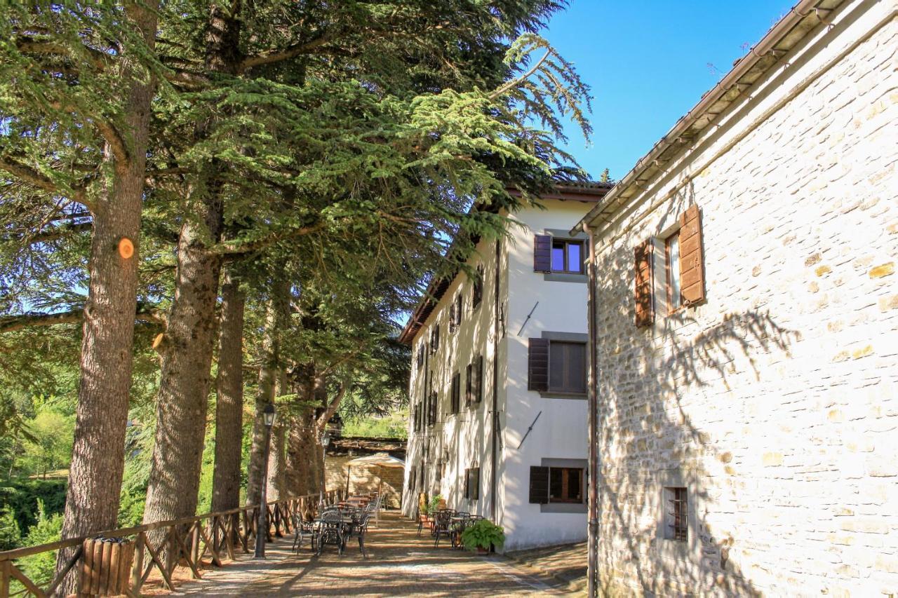 Il Palazzo Ridracoli 호텔 바뇨디로마냐 외부 사진